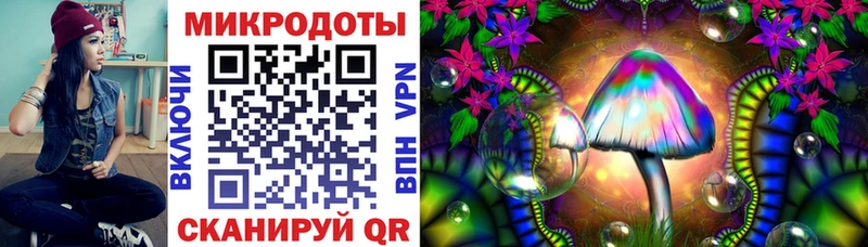 Галлюциногенные грибы Psilocybine cubensis как найти наркотики Спасск-Рязанский